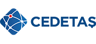 Cedetaş Yokogawa DTSX Logo